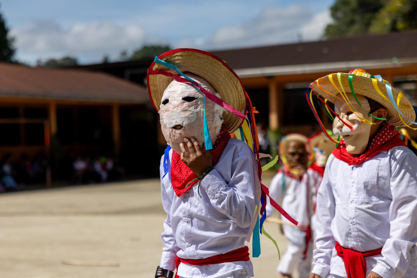 Children in bright parrot costumes at a school celebration